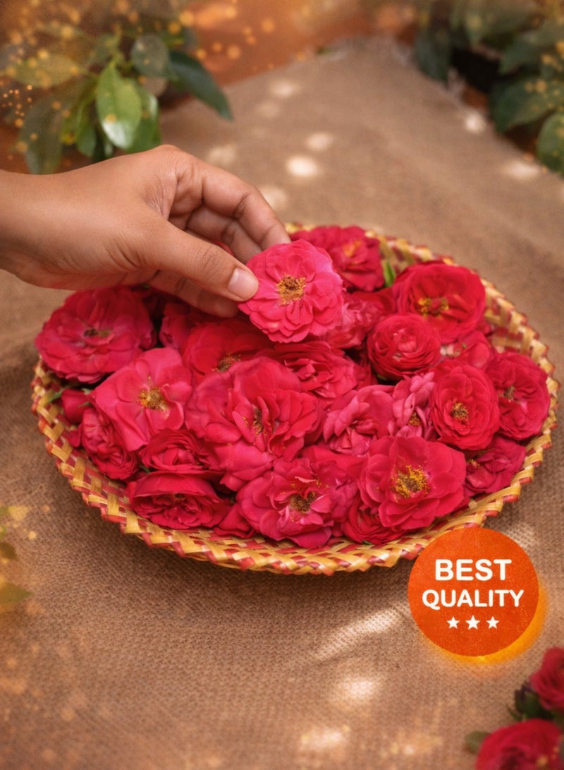 زهور الورد الأحمر الطازجة - ورود طبيعية منتقاة بعناية للاستخدام في الطقوس الدينية، وحفلات الزفاف، والديكورات، والمناسبات. - Image 2